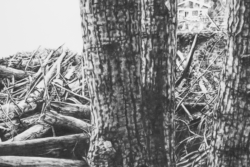 20140330_Erin Schwab_6551 Flood detail WEB
