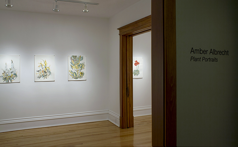 20150205_AmberAlbrecht Exhibition_2564 Gallery 1WEB