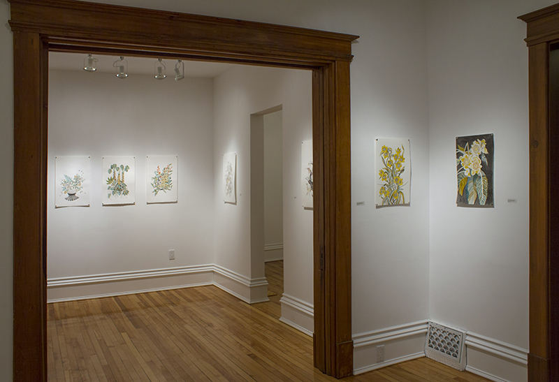 20150205_AmberAlbrecht Exhibition_2573 Gallery 2 WEB
