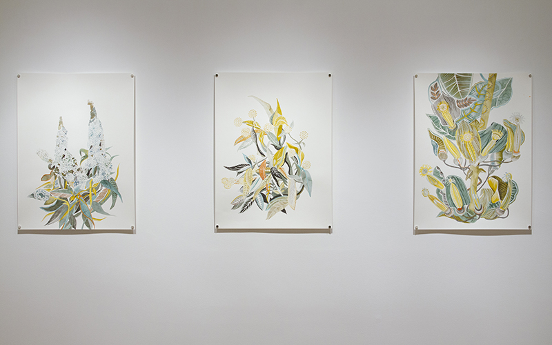 20150205_AmberAlbrecht Exhibition_2612 Gallery 1 WEB