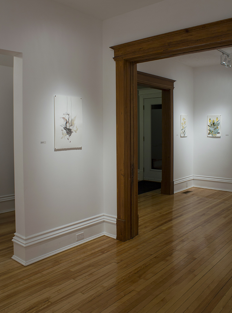 20150205_AmberAlbrecht Exhibition_2585 view from Gallery 2 into 1WEB