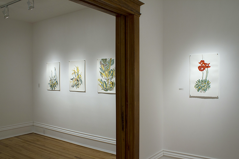 20150205_AmberAlbrecht Exhibition_2598 Both Galleries WEB