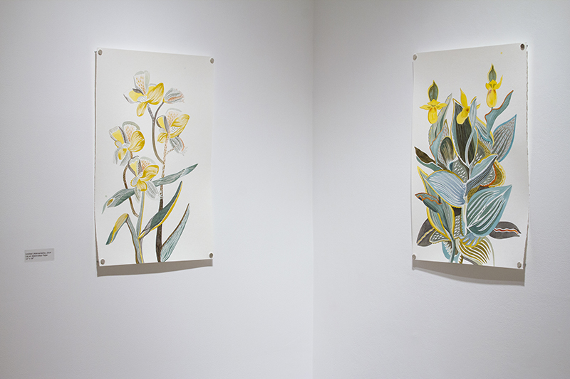 20150205_AmberAlbrecht Exhibition_2607 Gallery 1 WEB