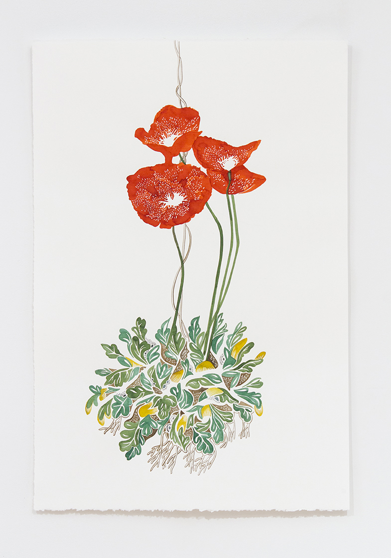 20150220_Albrecht_2733 Kokedama III WEB