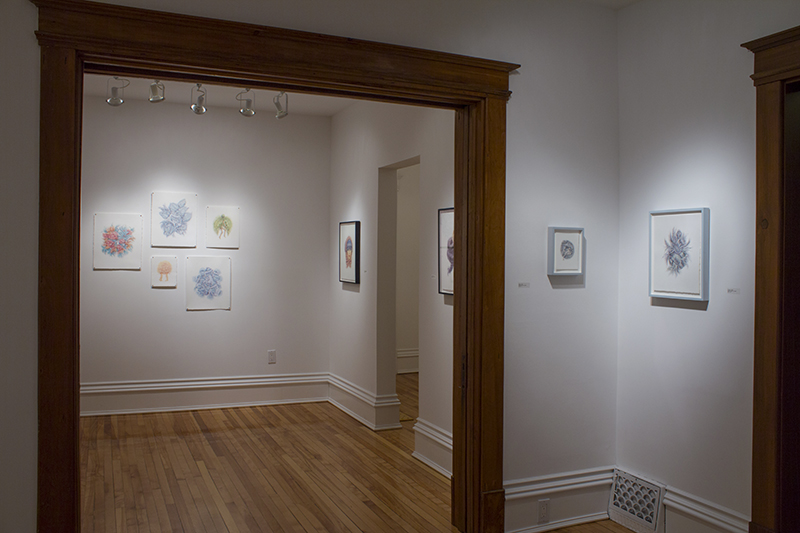 20150415_3848 view from gallery 1 into gallery 2 WEB