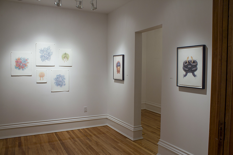 20150415_3863 Gallery 2 WEB