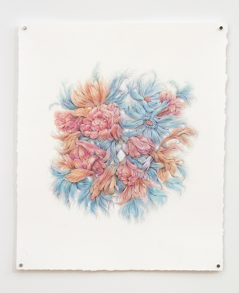 20150512_Winnie Truong_4428 Devonshire WEB